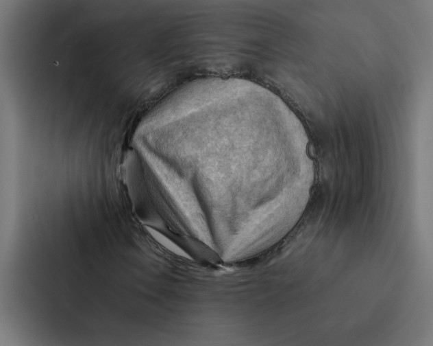 X0000087311106200705112111