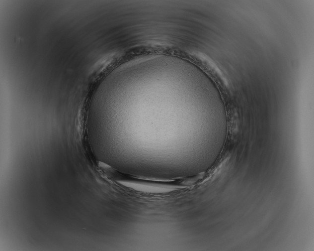 X0000087311110200705112111