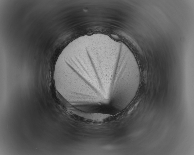 X0000087311111200705112111