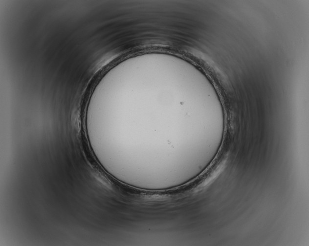 X0000087311113200705112111