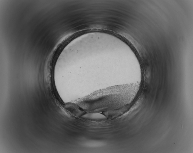 X0000087311115200705112111