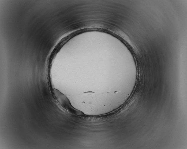 X0000087311116200705112111