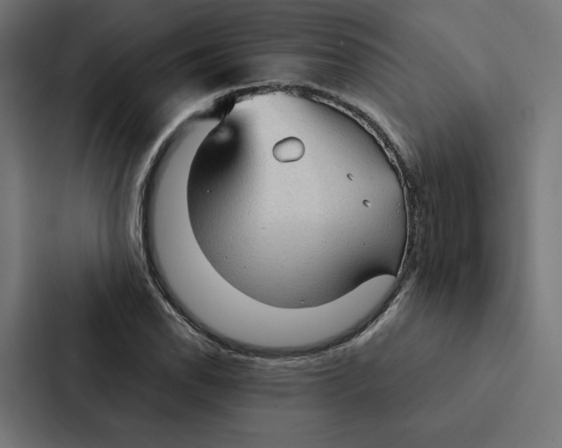 X0000087311118200705112111