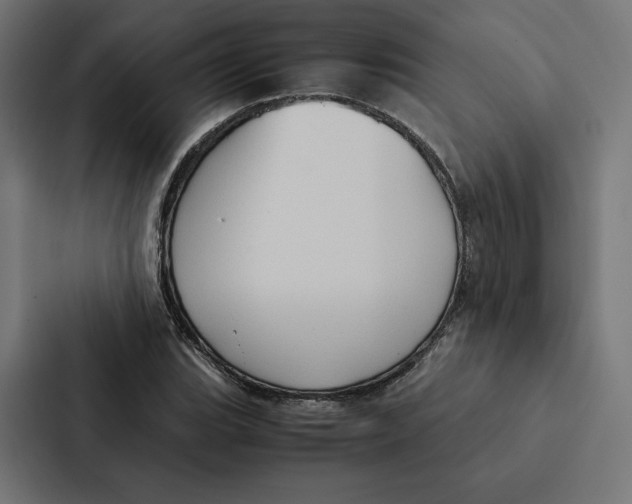 X0000087311119200705112111