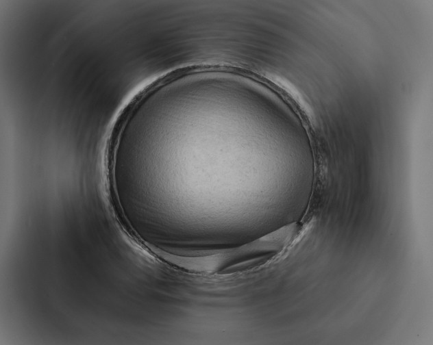 X0000087311120200705112111