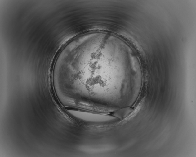 X0000087311121200705112111