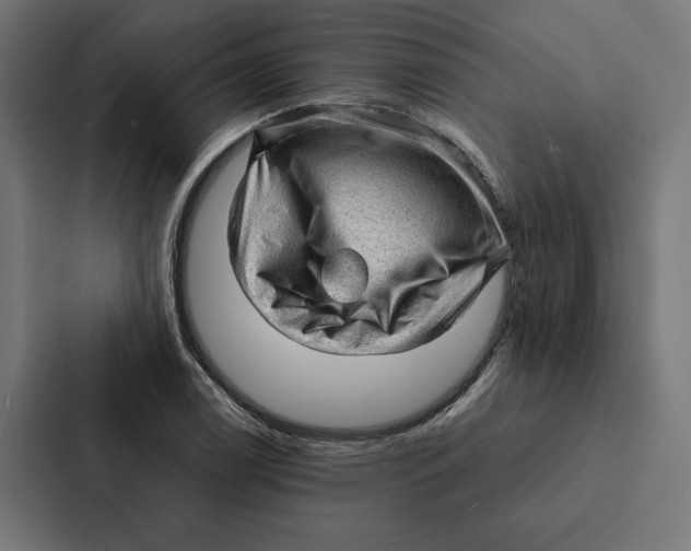 X0000087311122200705112111