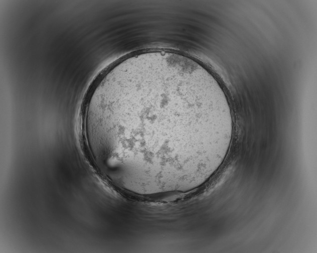 X0000087311125200705112111