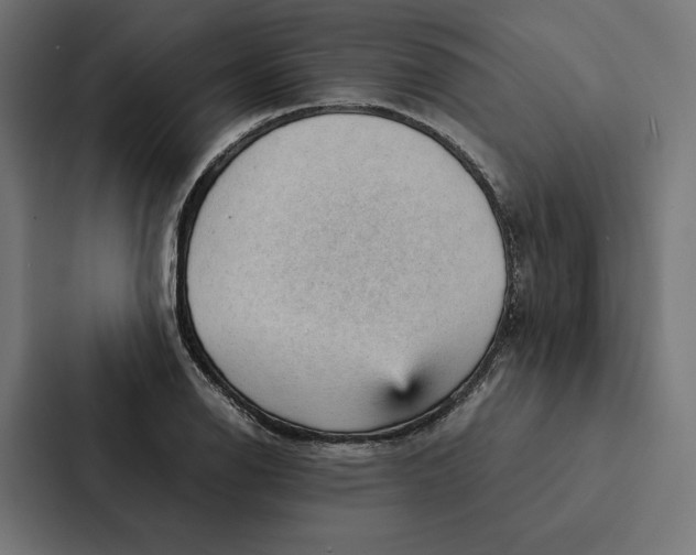 X0000087311126200705112111