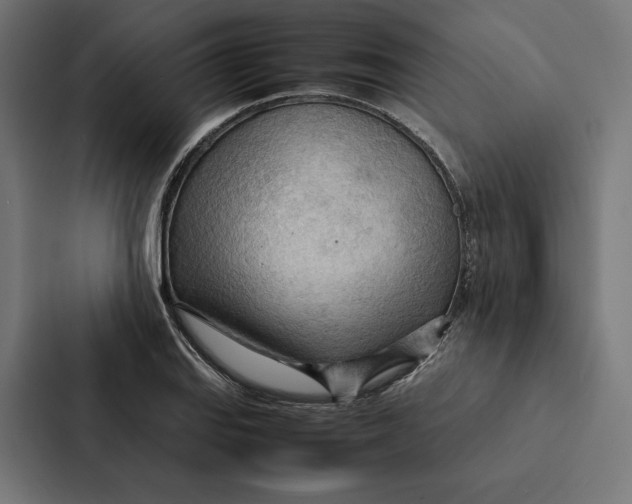 X0000087311127200705112111