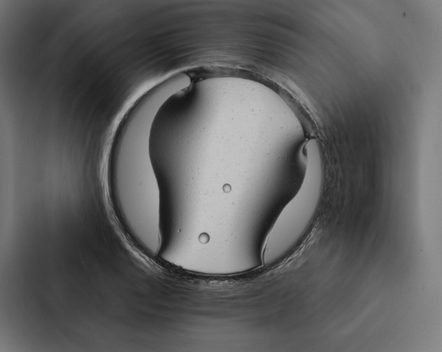 X0000087311128200705112111