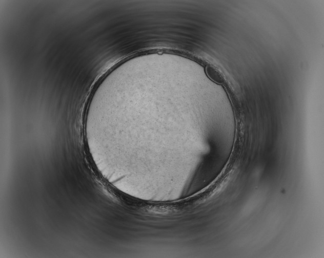 X0000087311129200705112111