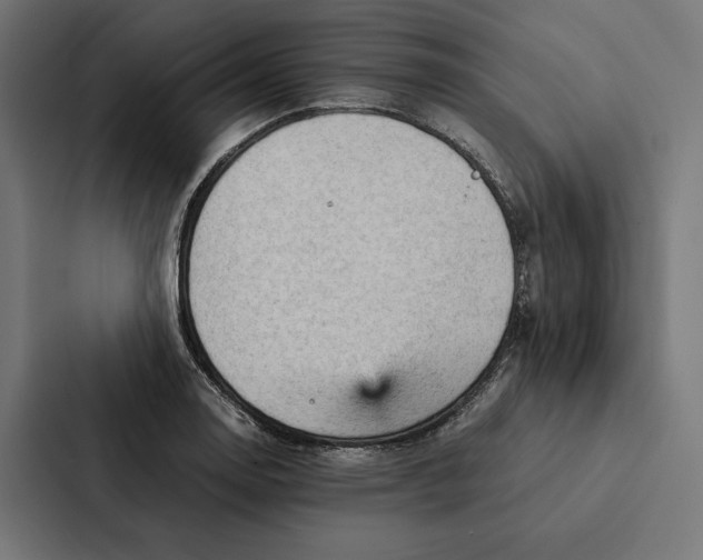 X0000087311130200705112111