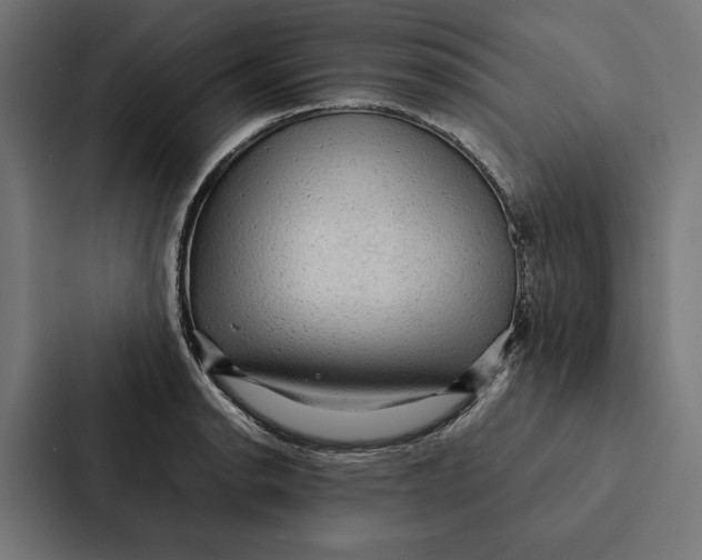 X0000087311134200705112111