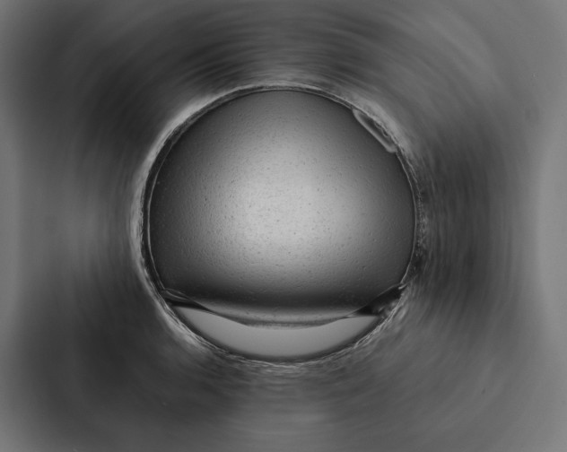 X0000087311136200705112111