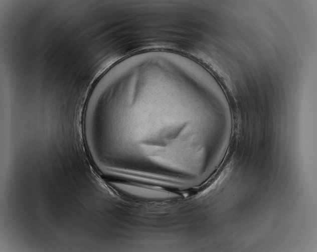 X0000087311137200705112111