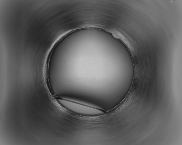 X0000087311140200705112112