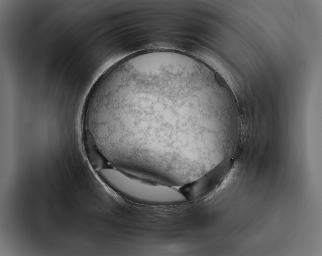 X0000087311141200705112112