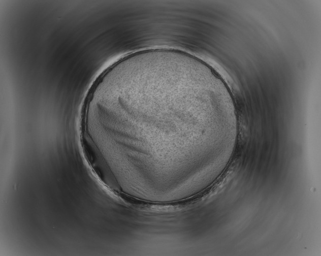 X0000087311142200705112112