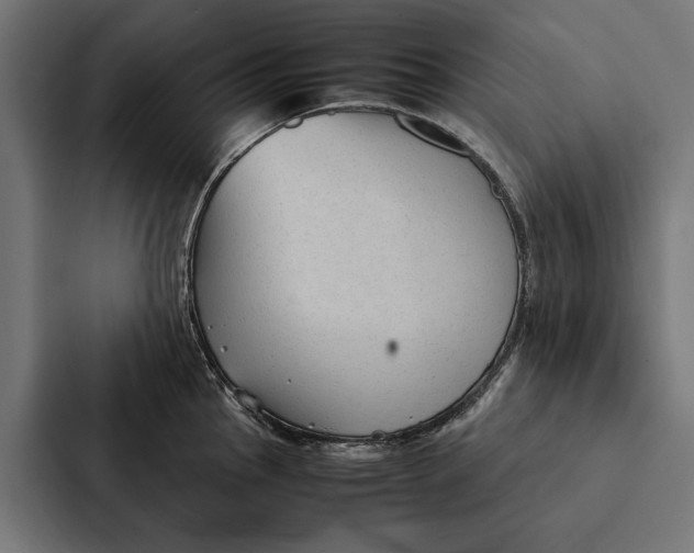 X0000087311145200705112112