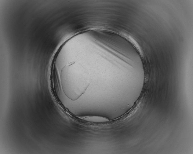 X0000087311146200705112112