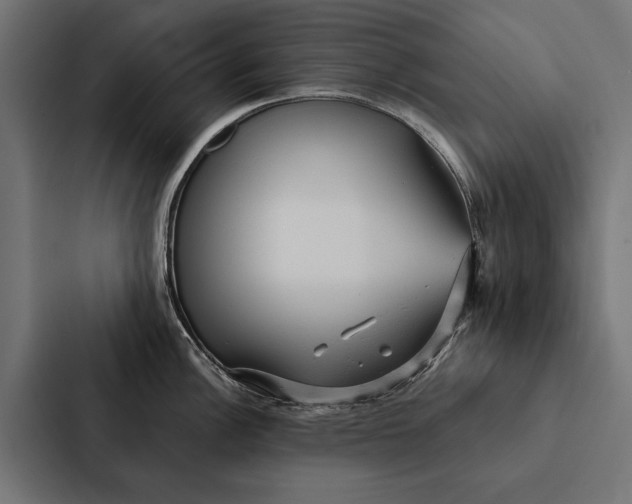 X0000087311148200705112112