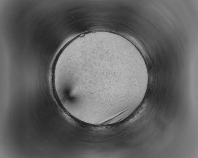 X0000087311149200705112112