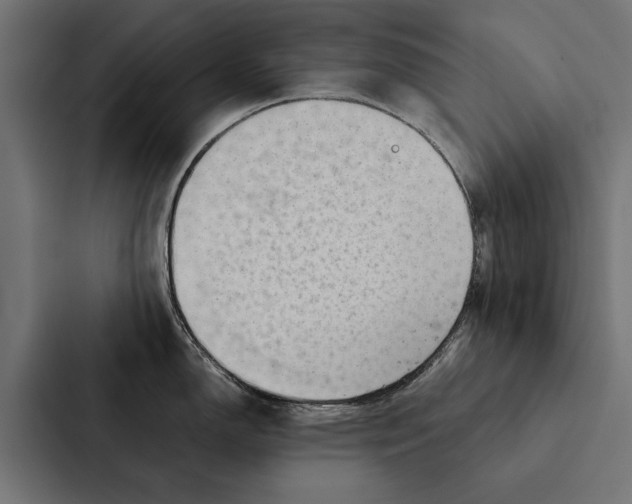 X0000087311150200705112112