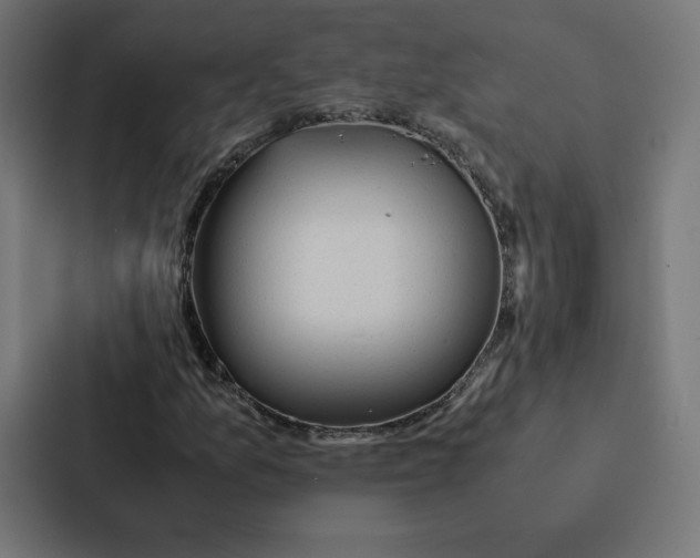 X0000087311157200705112111