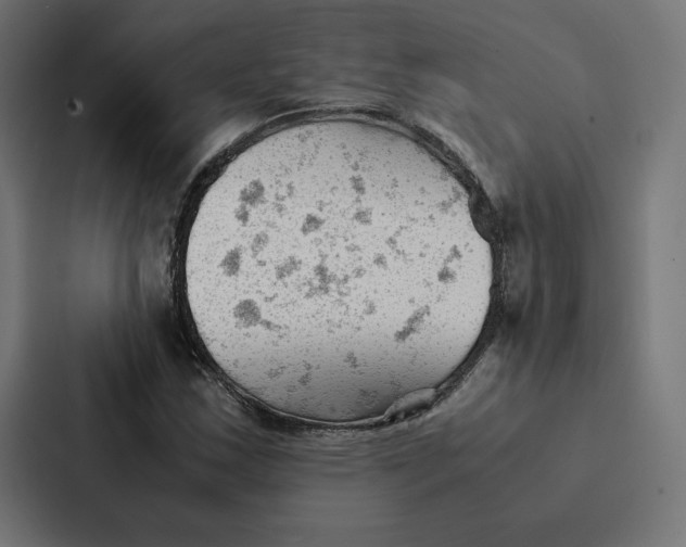 X0000087311163200705112111