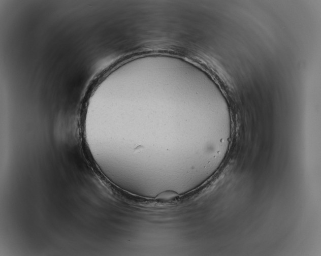 X0000087311164200705112111