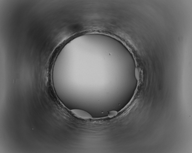 X0000087311165200705112111