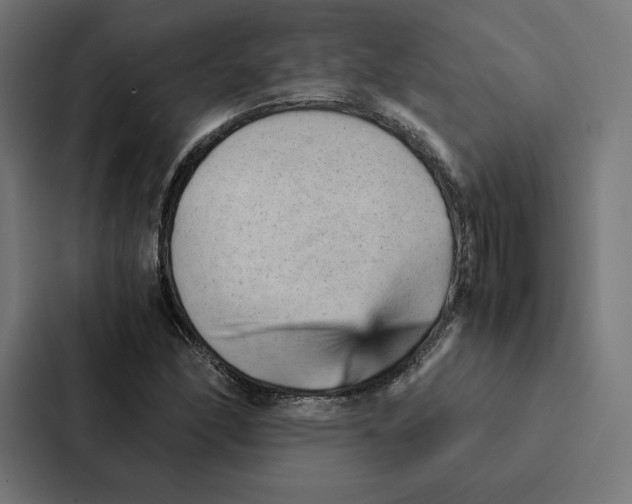 X0000087311166200705112111