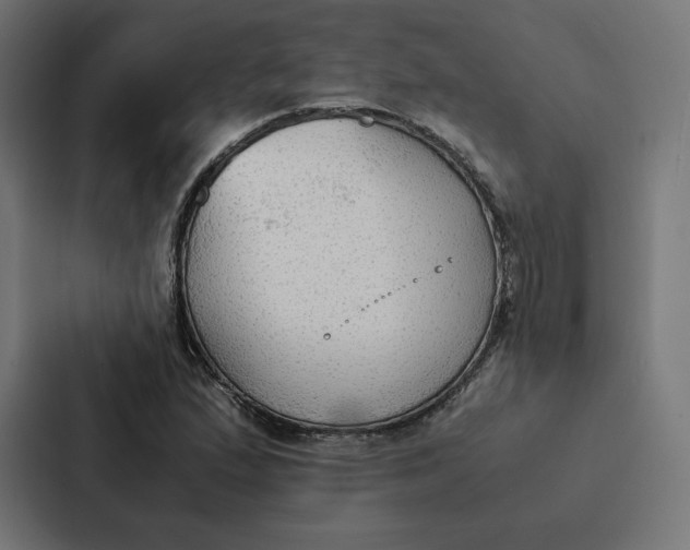 X0000087311167200705112111