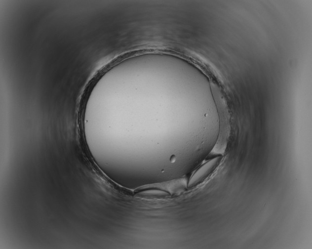 X0000087311168200705112111