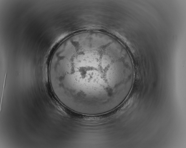 X0000087311171200705112111