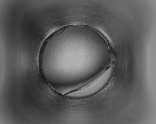 X0000087311173200705112111