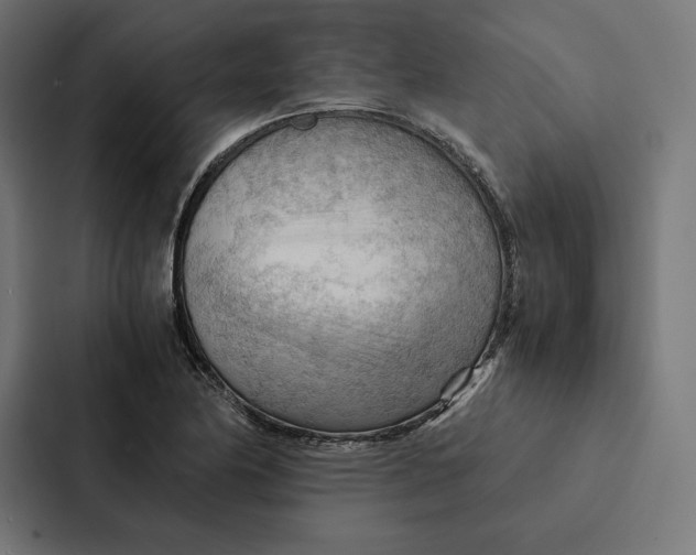 X0000087311174200705112111