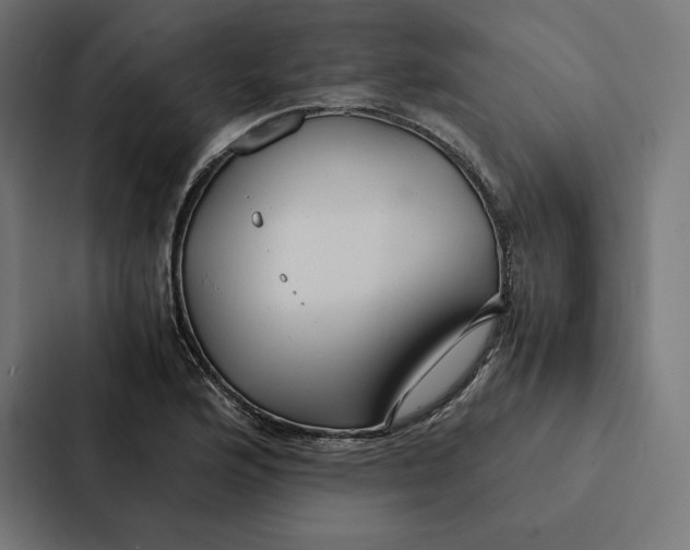 X0000087311176200705112111