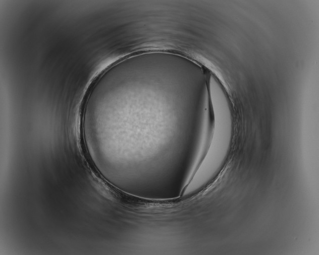 X0000087311179200705112111