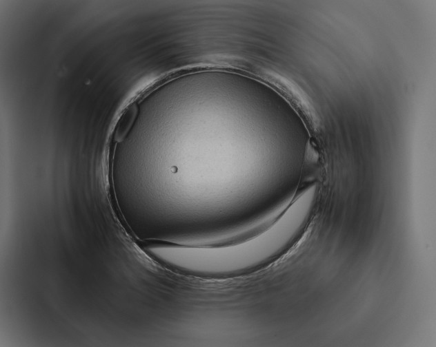 X0000087311180200705112111