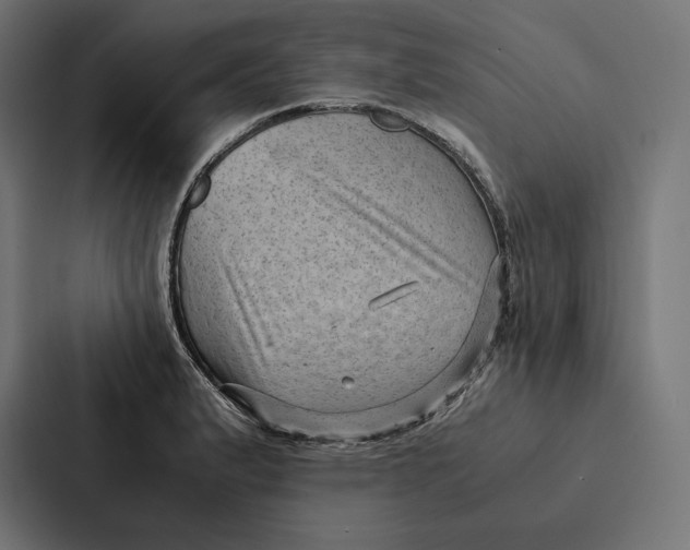 X0000087311183200705112111