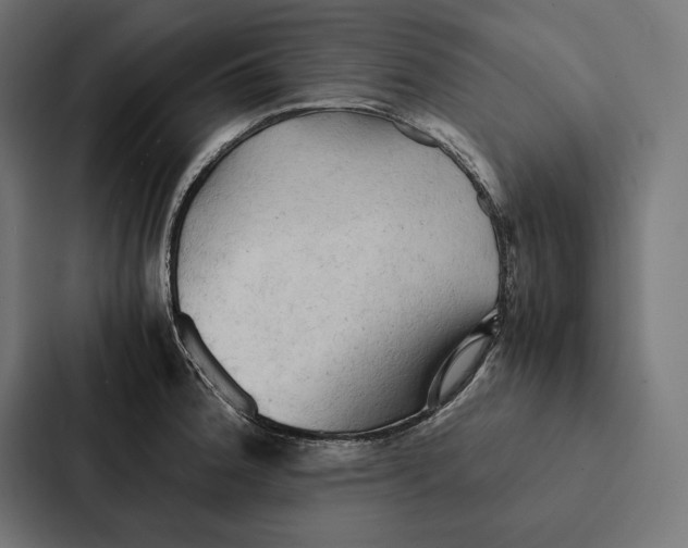 X0000087311188200705112111