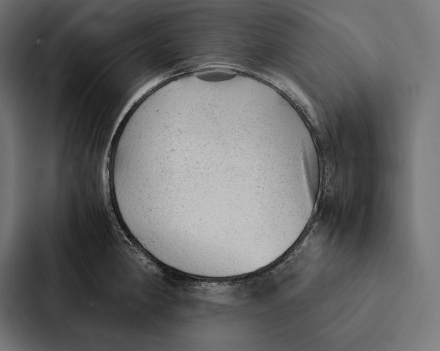 X0000087311190200705112111