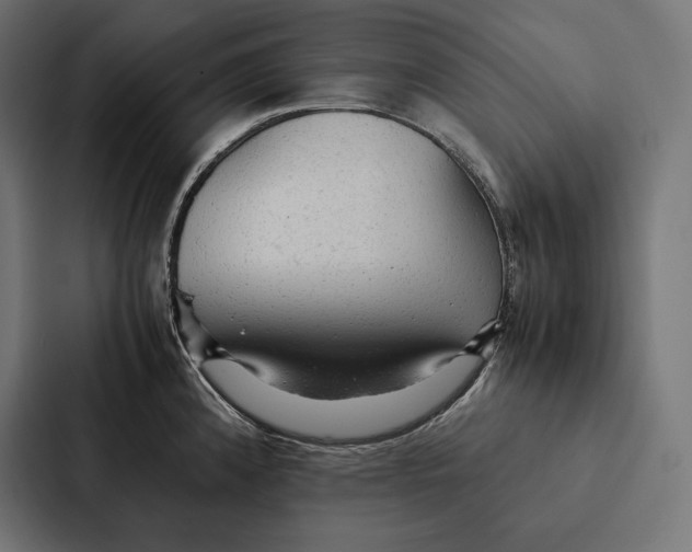 X0000087311192200705112111