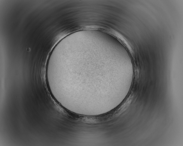 X0000087311194200705112111