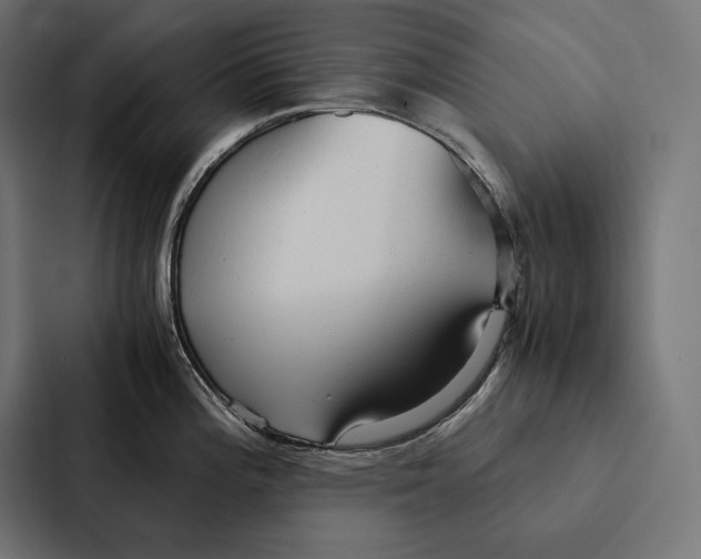 X0000087311196200705112110