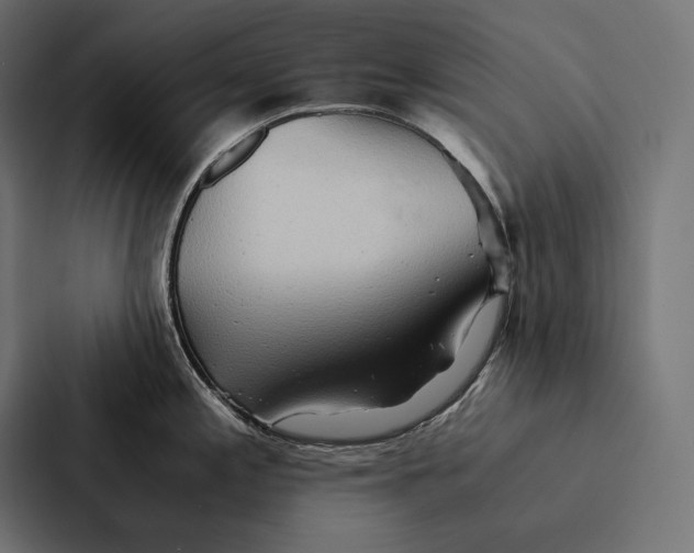 X0000087311197200705112110