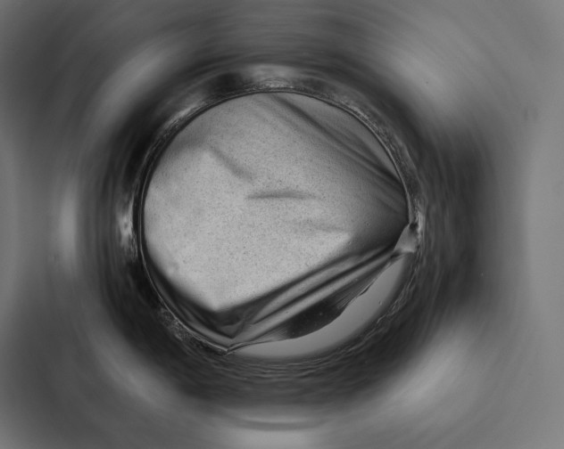 X0000087311198200705112110