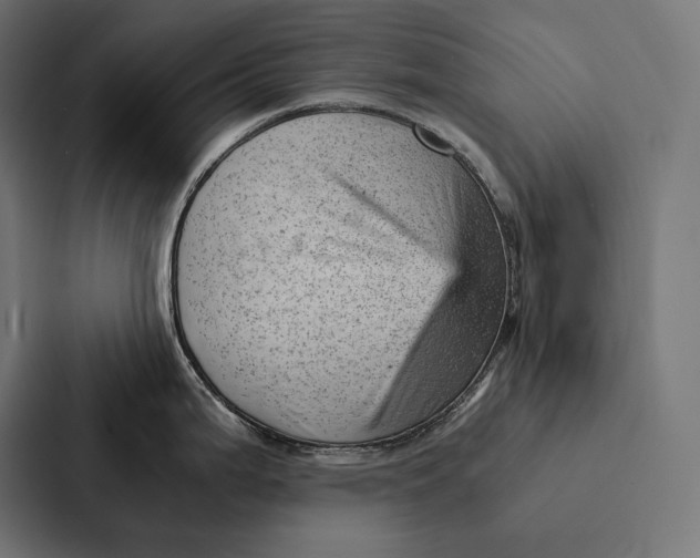 X0000087311199200705112110